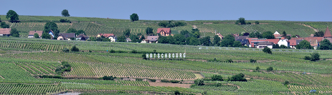 domaine-hatschbourg