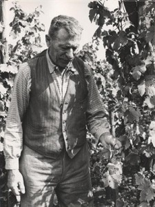 joseph-cattin-in-the-vineyard